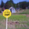 School bus stop 