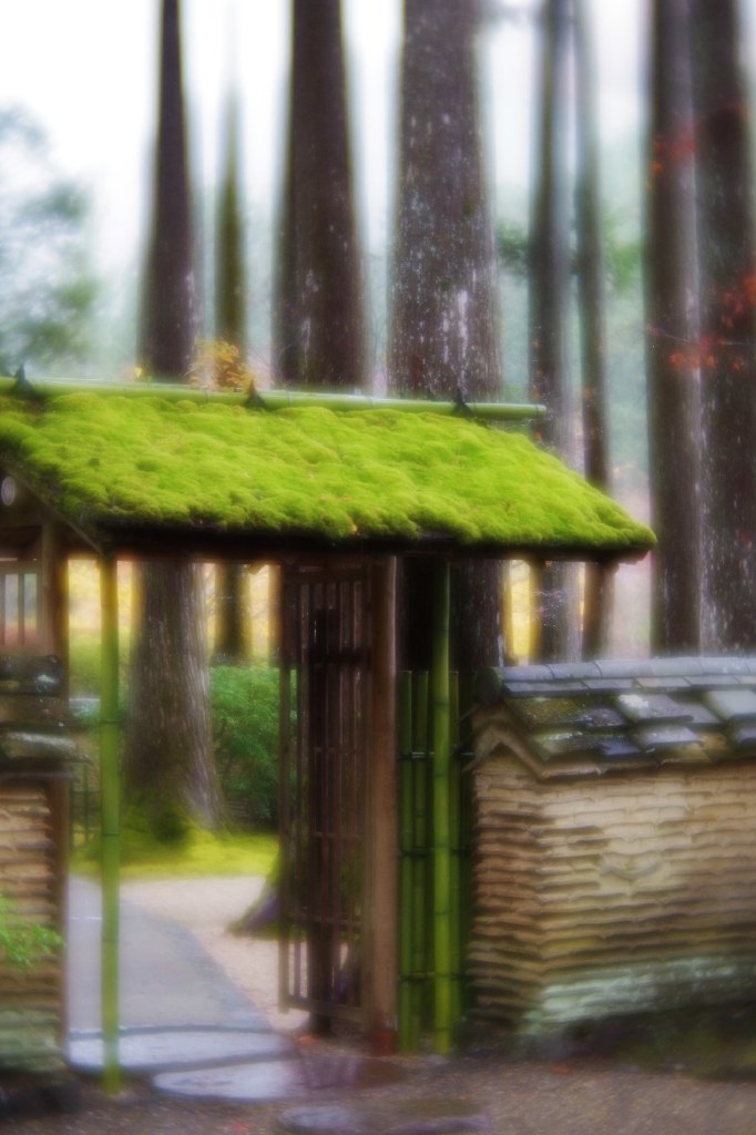 Moss-roof