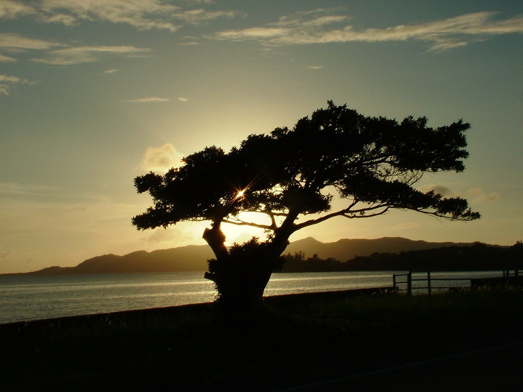夕日