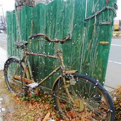 Bicycle with illumination bulbs