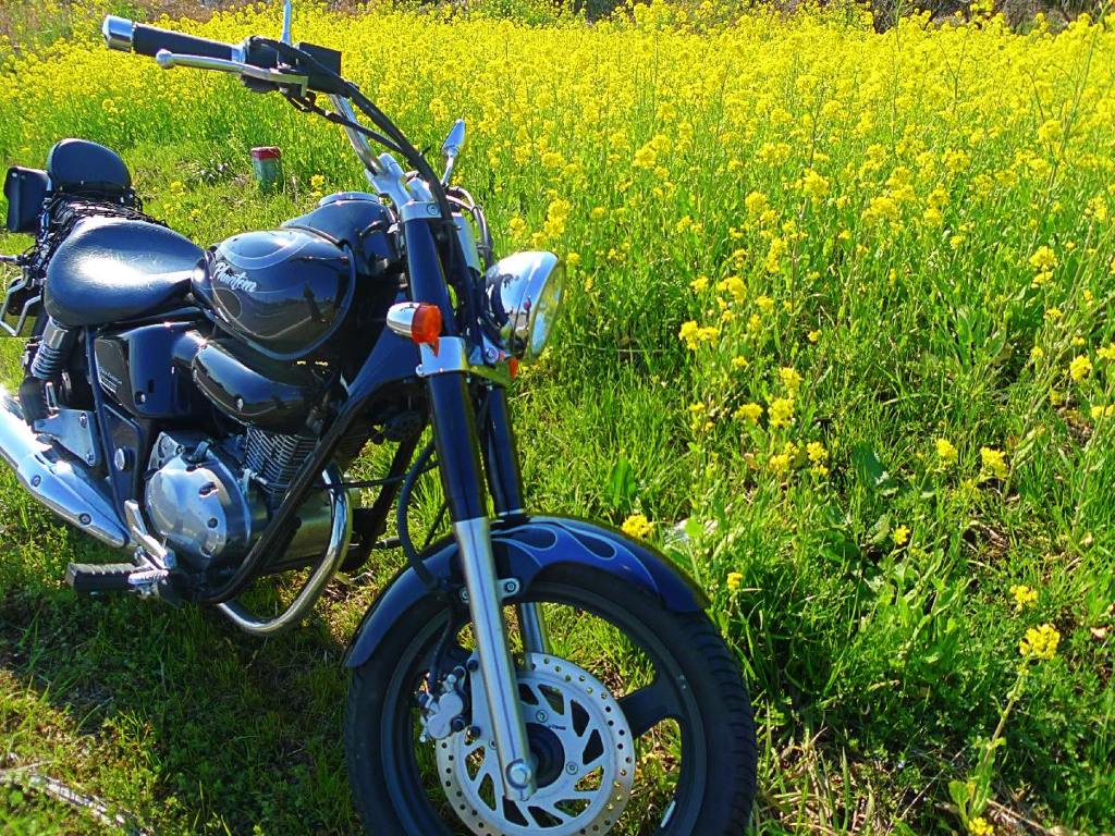 HONDA Phantom 200 in early spring