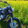 HONDA Phantom 200 in early spring