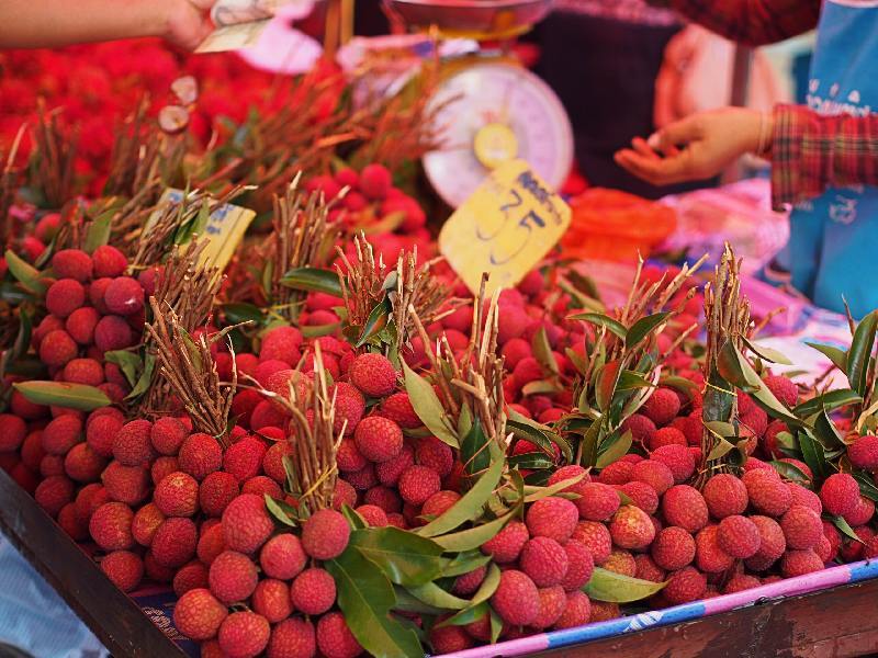 ลิ้นจี่ (Lychee)