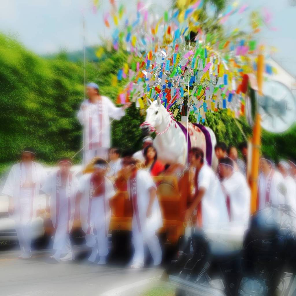 White horse