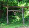 Shrine gate of long-lasting