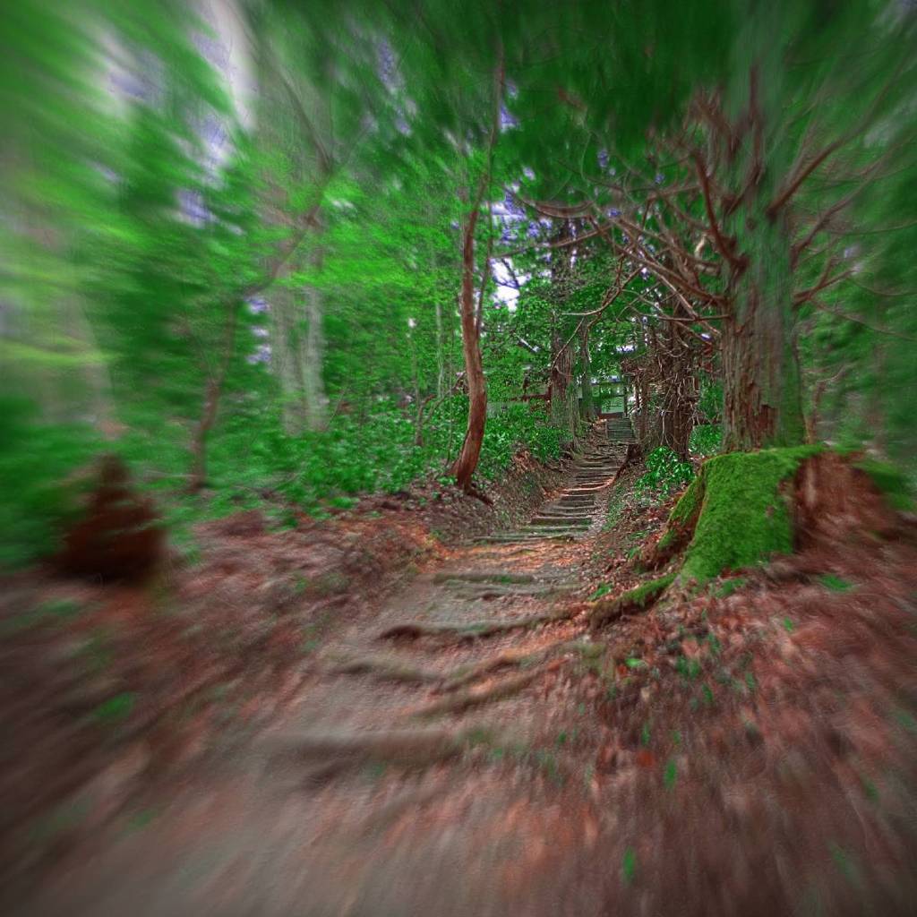 浮島稲荷神社に登る道