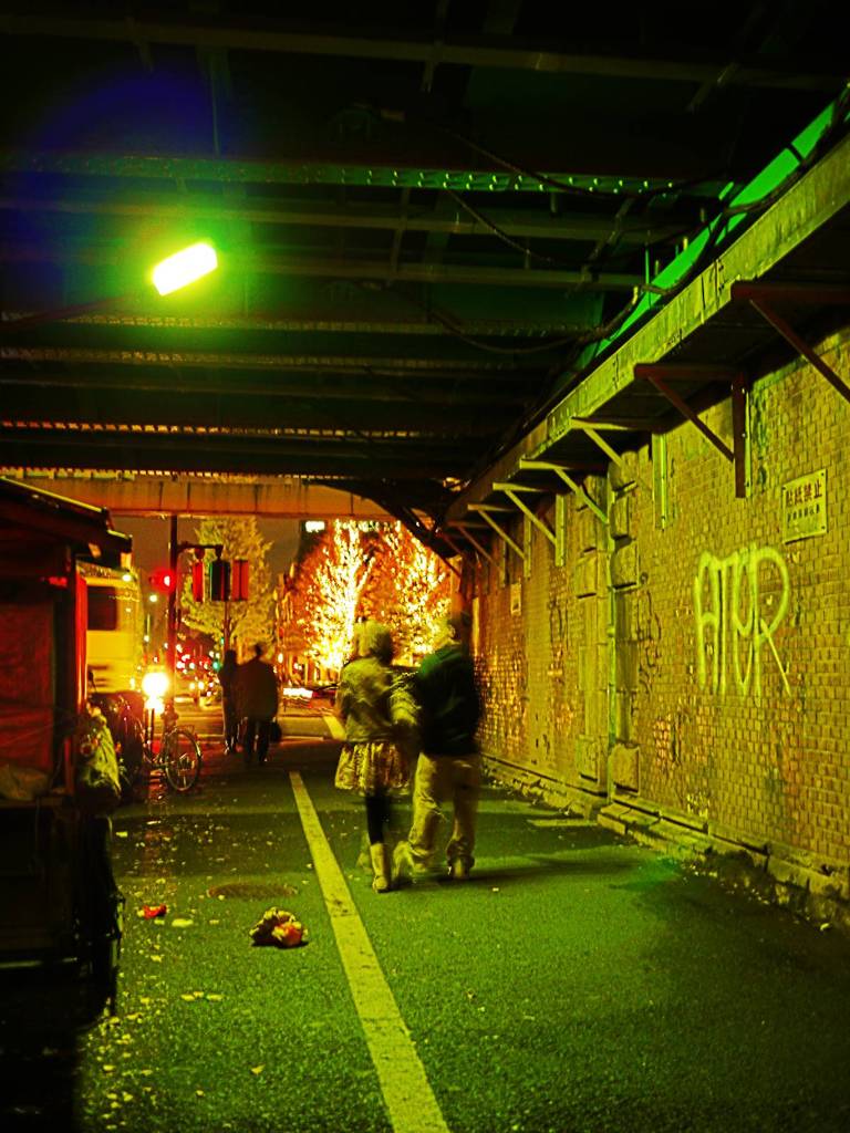 Tokyo nightscape (2)