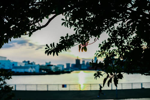 夕暮れ時のおだやかな時間