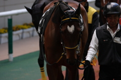 ハートマーク２