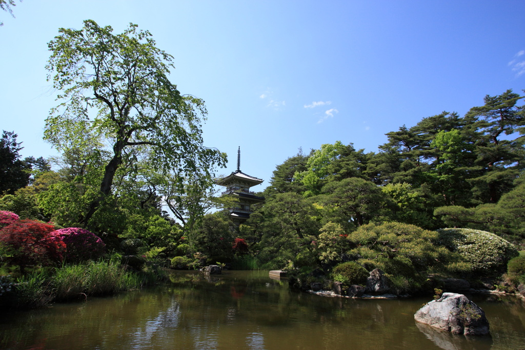 新緑の輪王寺