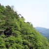 新緑の山寺