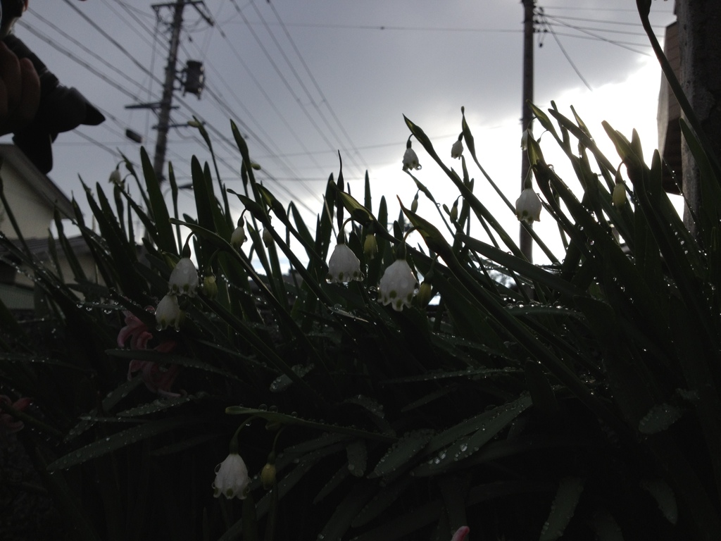 雨あがり