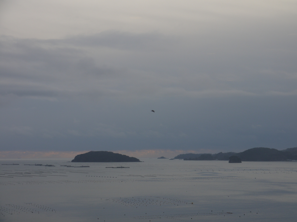 南三陸町の海