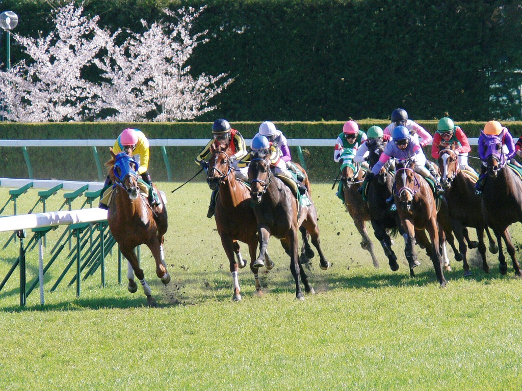 ２００６　福島牝馬Ｓ　１