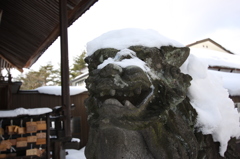 温泉神社の狛犬