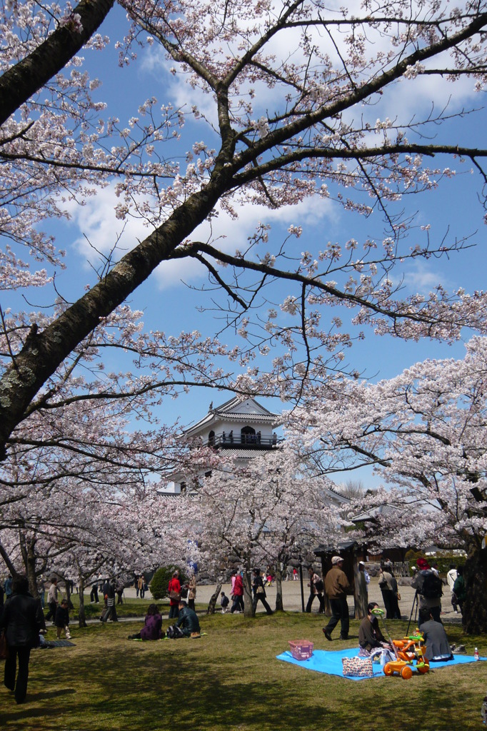 お花見客と白石城