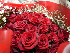 red roses