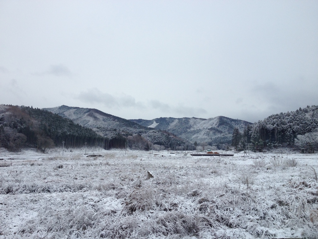 三陸の雪