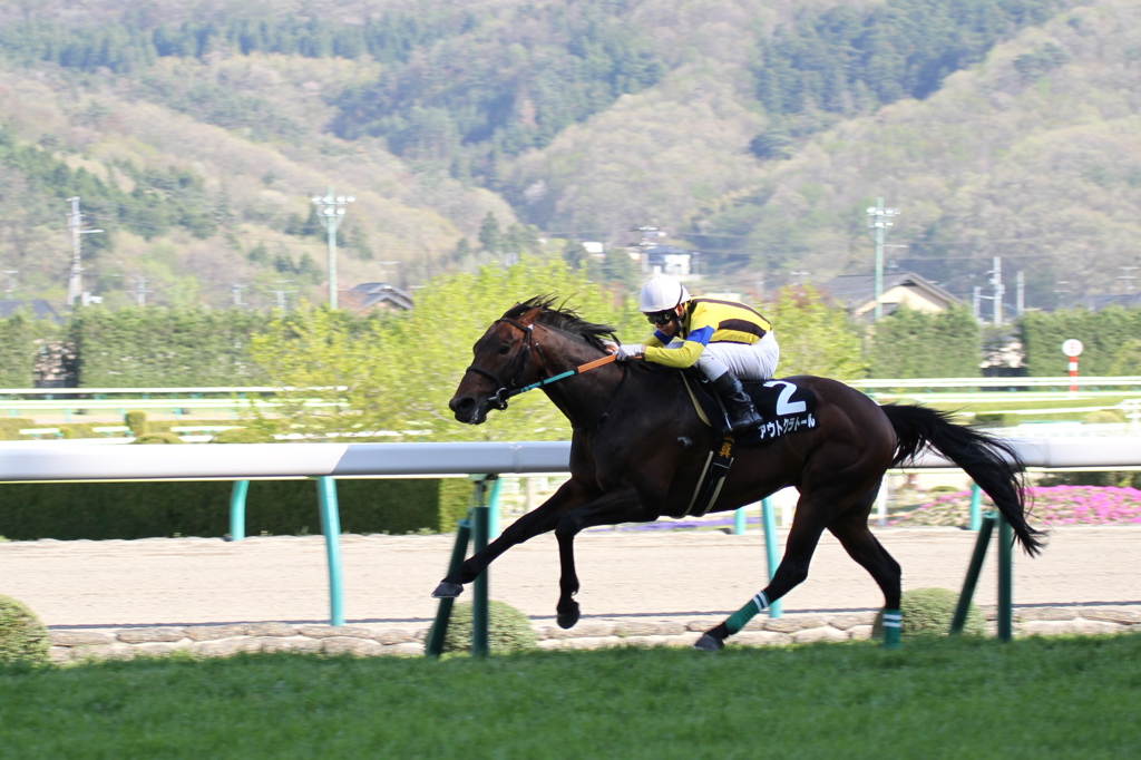2013 福島民友Ｃ