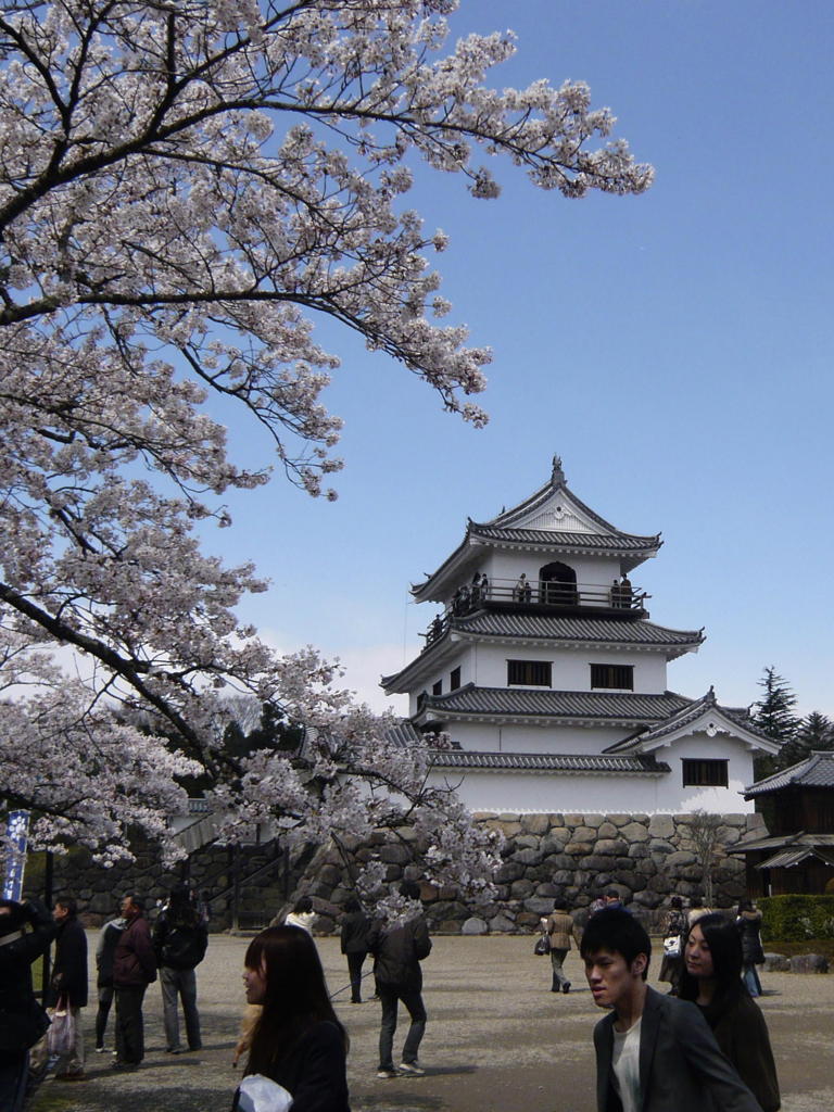 桜と白石城天守閣