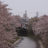 桜と名鉄特急