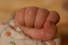 赤子の手