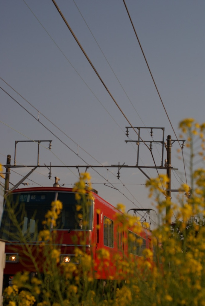 春の電車