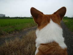 じっと待つ