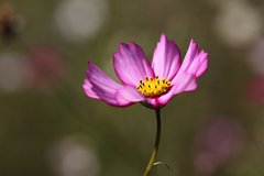 IMG_0937