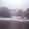 静かな雪と東大寺