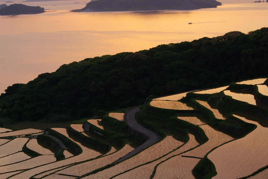 母と見た棚田夕景