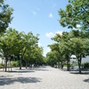 代々木公園への道ｗ
