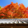 箸蔵寺の紅葉