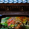 箸蔵寺・秋2009