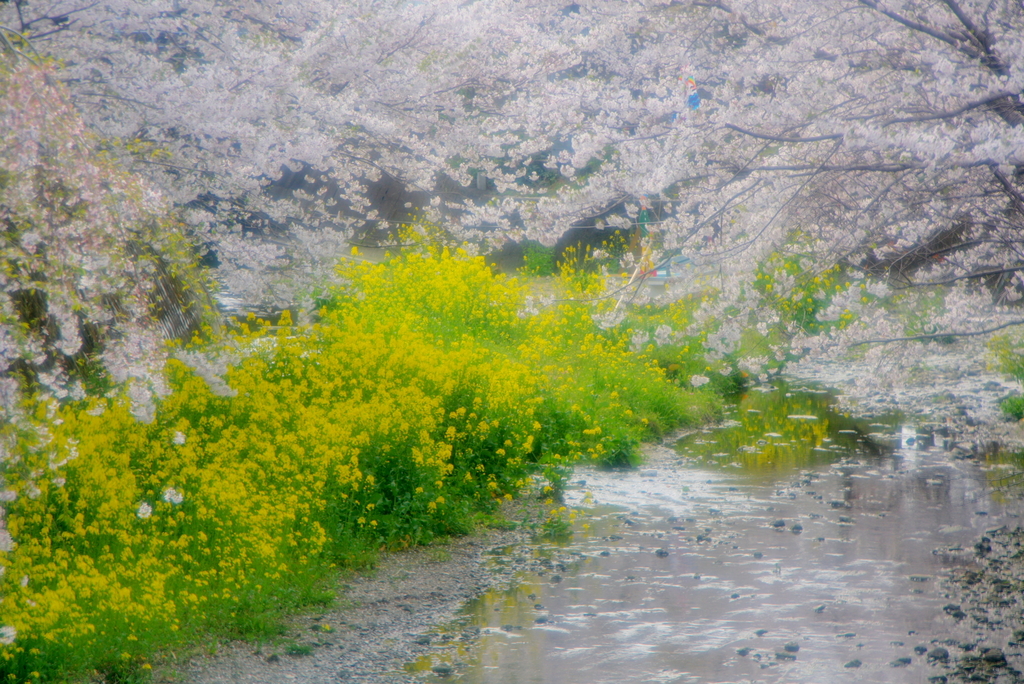 春の小川