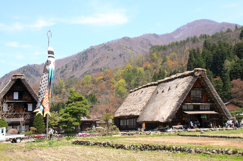 合掌造りと鯉のぼり