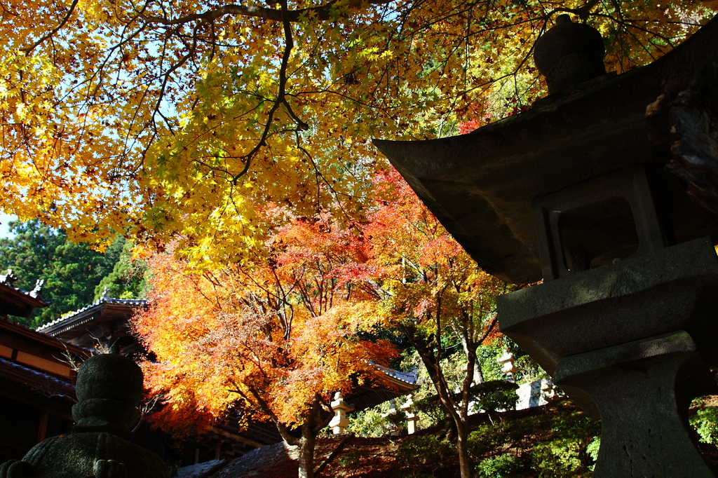 箸蔵寺の秋