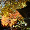 箸蔵寺の秋