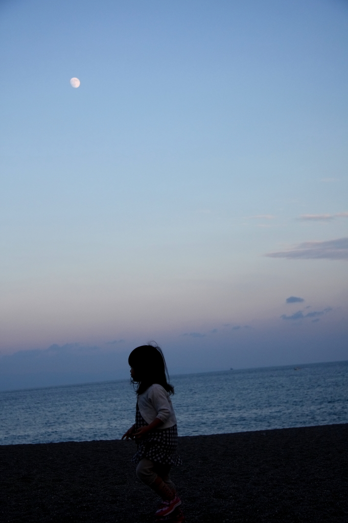 桂浜