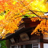 瑞巌寺の紅葉
