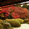庭園