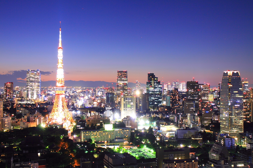 Metropolitan Night View