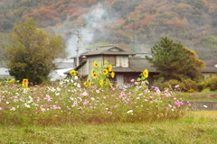 初冬の田園風景