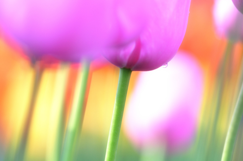 隙間からのカラフル