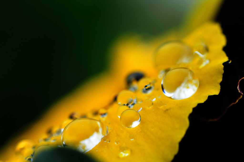 yellow ball