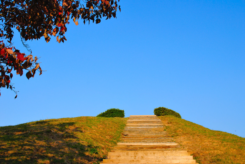階段を上がれば…。