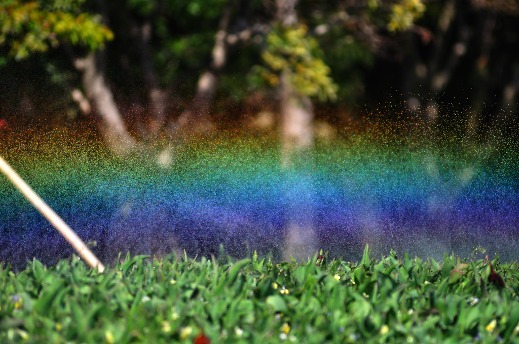 Rainbow