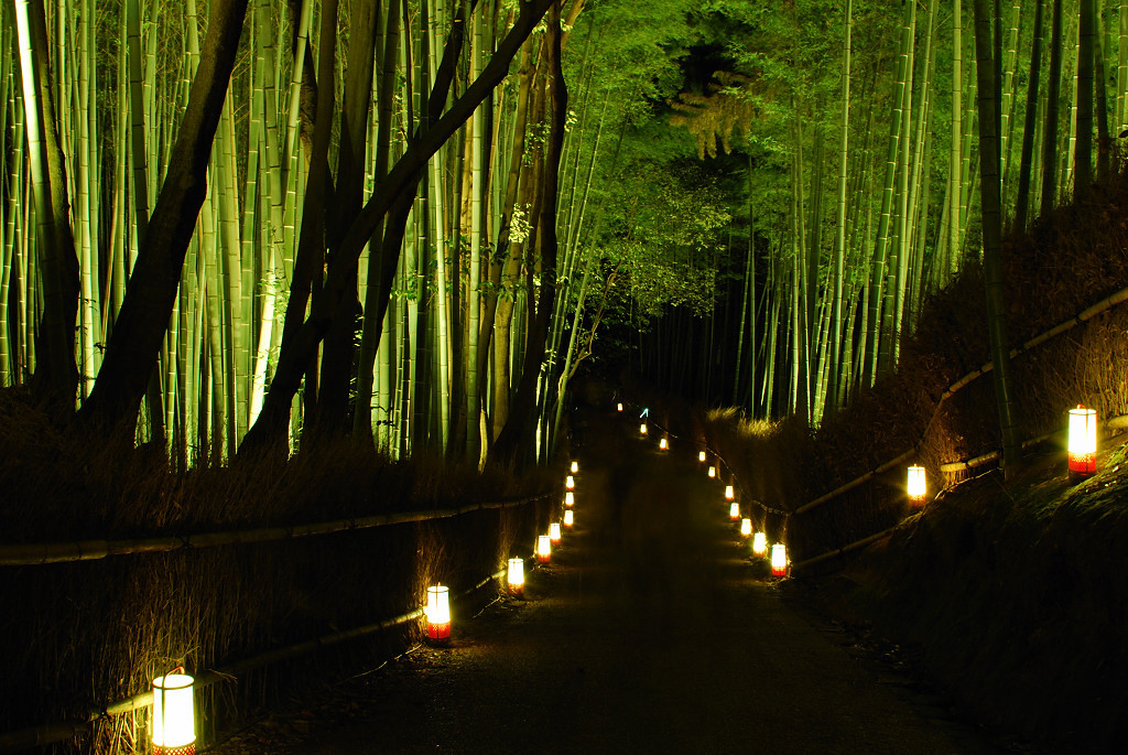 竹の路