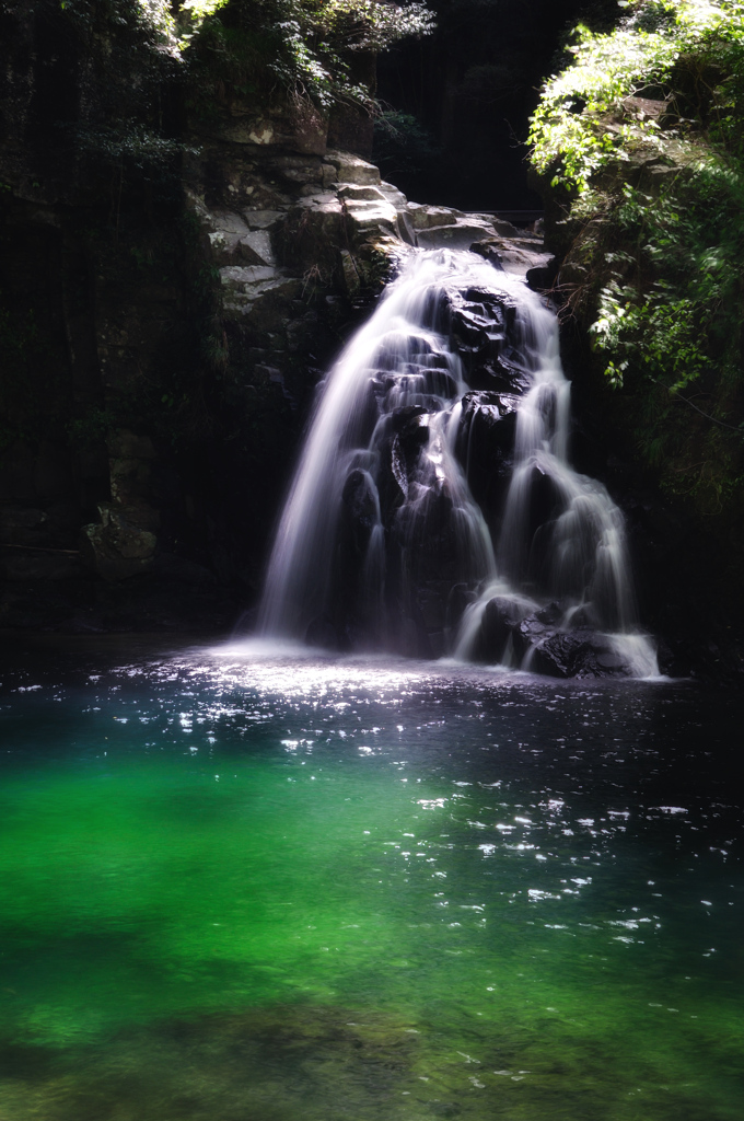 輝く水面