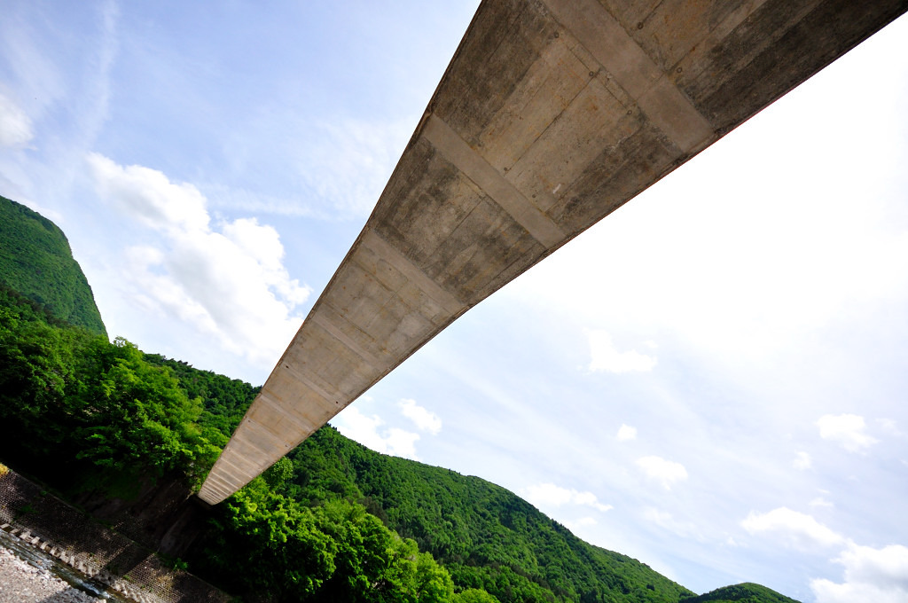 揺れた橋